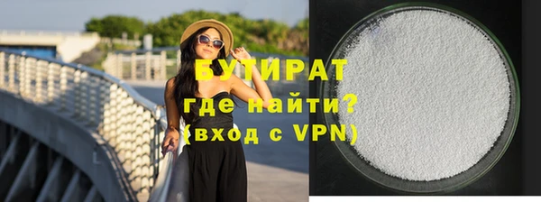 индика Козельск