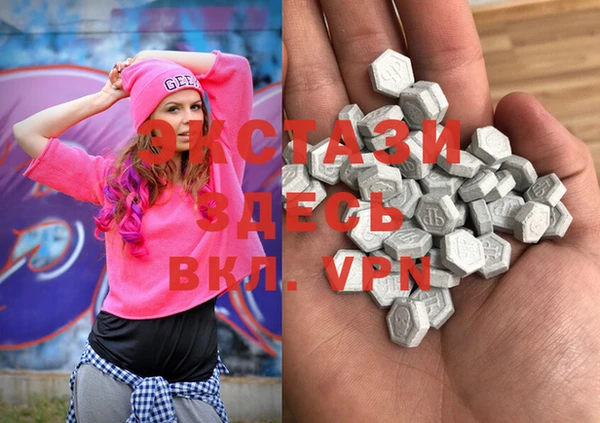индика Козельск