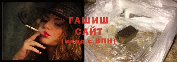 индика Козельск