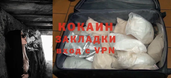 индика Козельск