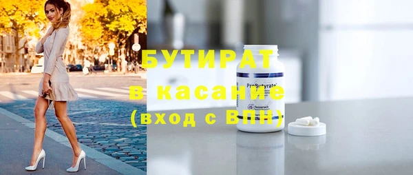 индика Козельск