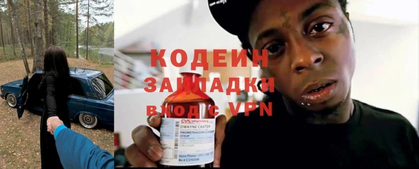индика Козельск