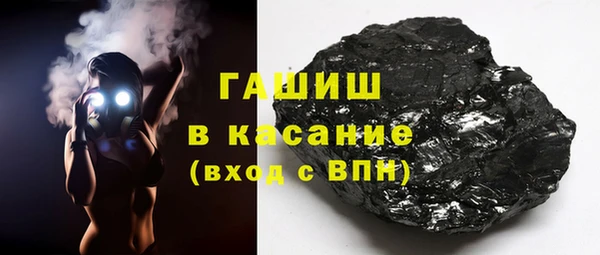 индика Козельск