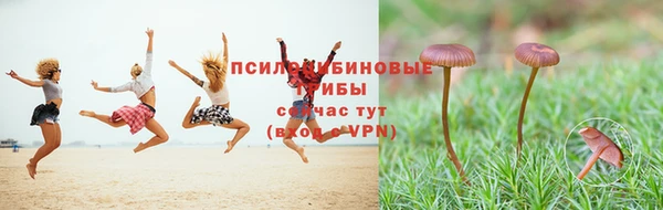индика Козельск