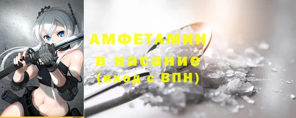 индика Козельск