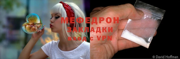 индика Козельск