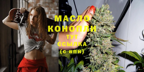 индика Козельск