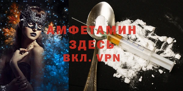 индика Козельск