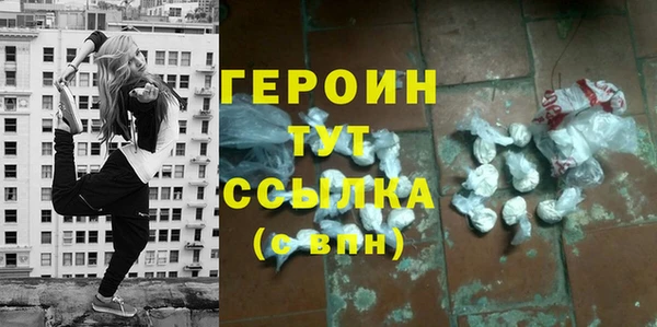индика Козельск