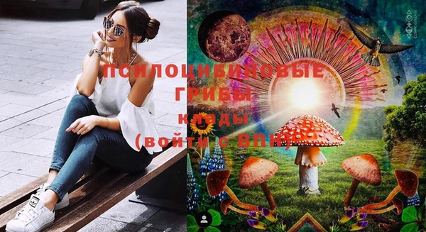 индика Козельск