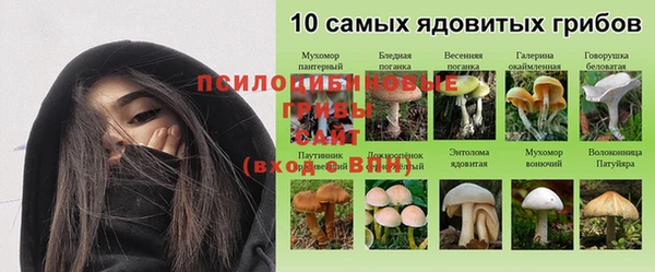 тгк Кодинск