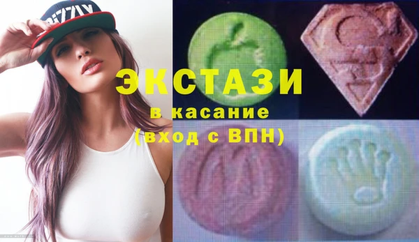 индика Козельск
