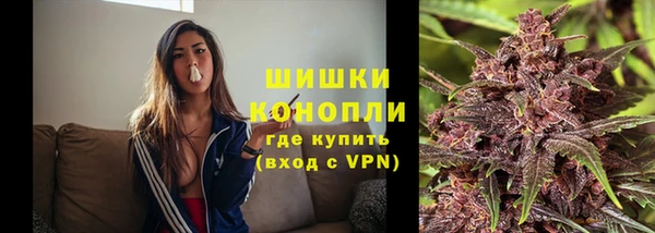 индика Козельск